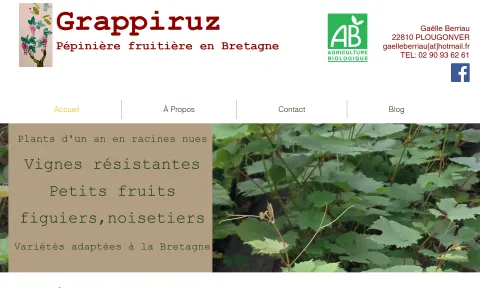 Grappiruz